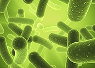 不朽情缘mg官网将参加2013年欧洲生物春季展会