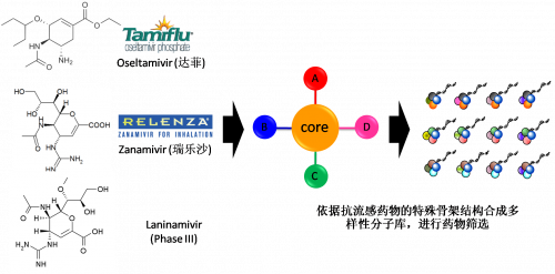 图2：以现有抗流感药物的结构为基。卸嘌砸┪锓肿涌獾暮铣伞