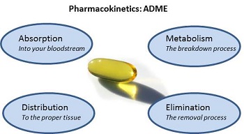 毒代动力学的吸收、分布、代谢、排泄