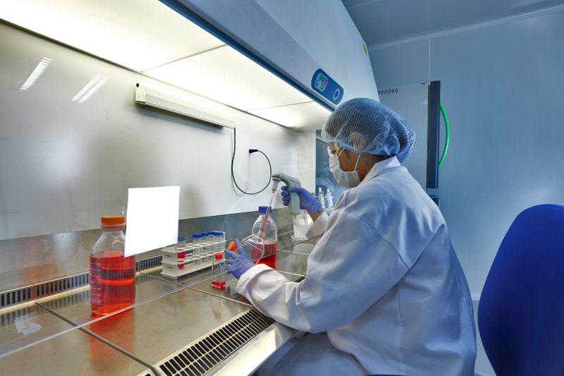 2015年度中国药品批准盘点：化药不批准率超20%，中药上市数量翻3倍