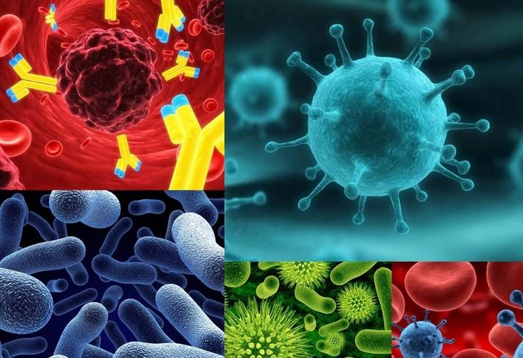 肿瘤免疫疗法：战略对头战术乏力