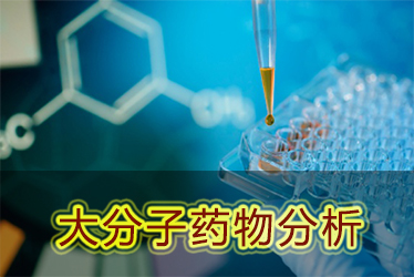 不朽情缘mg官网大分子药物分析服务