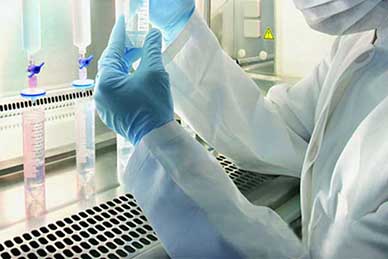 2017年，哪些医药领域值得关注？