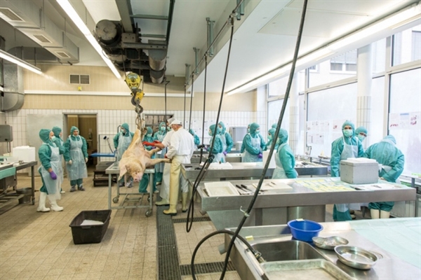 专利悬崖到来，骨质疏松症药物新药研发战况如何？