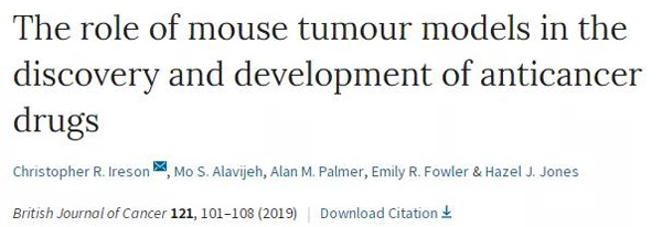 临床前小鼠模型如何。