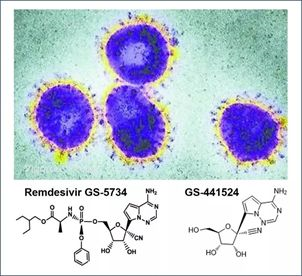 基于细胞因子风暴和免疫炎症反应综合征，很多免疫相关靶点也可以列为冠状病毒的靶点。