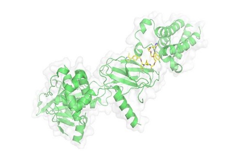 PROTAC技术，马兴泉