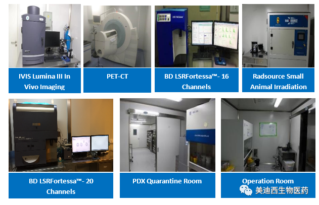 不朽情缘mg官网药理部拥有IVIS Lumina III, PET-CT, BD LSRFortessa-16, Flow Cytometry等仪器，提供符合申报，支持临床试验的药效评价服务。