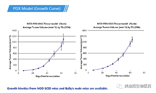 不朽情缘mg官网PDX药效模型
