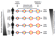 究竟为什么ICB疗法在年轻女性肿瘤患者体内收效甚微？