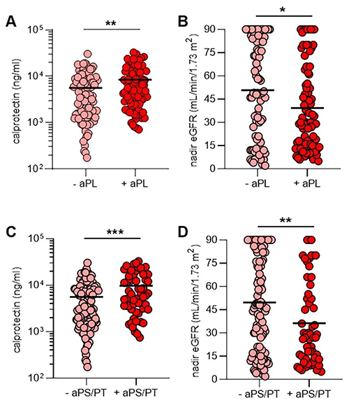 aPL抗体、NET释放和肾功能