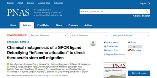 世界首创：药物将干细胞引导至受损部位，提高其愈合能力！