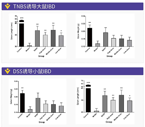 TNBS诱导的大鼠IBD、DSS诱导的大鼠IBD