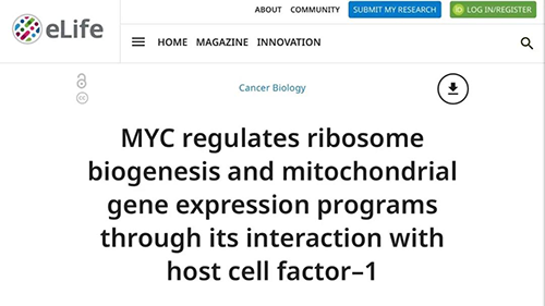 可以“融化”肿瘤的蛋白质，你一定没有听说过！