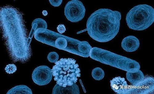 20分钟，大多数细菌都可以繁衍一代 不朽情缘mg官网生物医药