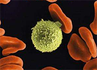 Science子刊：一种FDA批准的抗腹泻药物可有效对抗化疗的耐药性