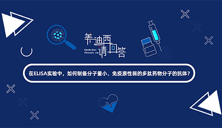 在ELISA实验，如何制备分子量小、免疫原性弱的多肽药物分子的抗体？