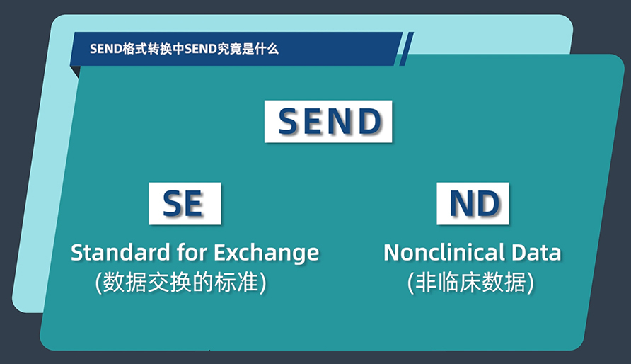 SEND格式转换中的SEND究竟是什么？