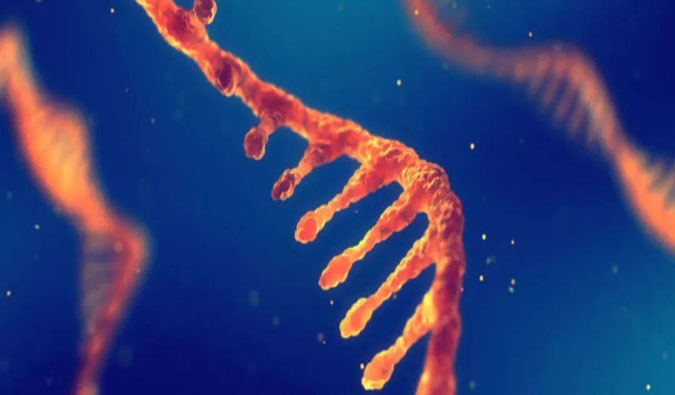 赋能核酸药物疗法，迎接新药研发第三次浪潮