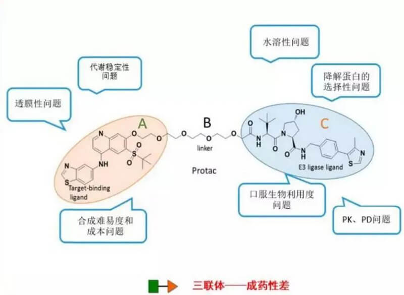 PROTAC分子量较大，溶解性较差.jpg