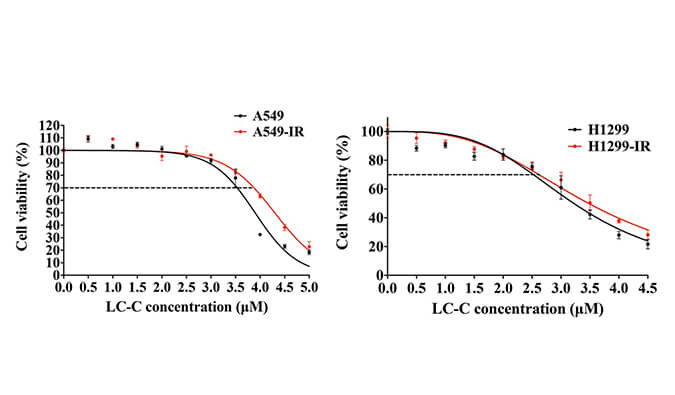 放射疗法用作肺癌的主要治疗方法，本研究中建立抗电离辐射肺癌细胞系的放射治疗通过不朽情缘mg官网进行