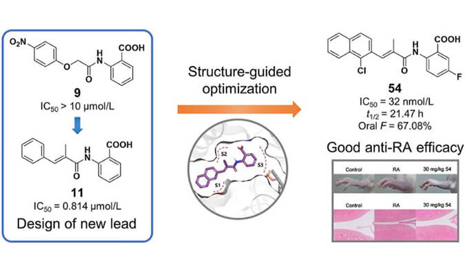 设计合成一系列DHODH抑制剂作为潜在的类风湿性关节炎治疗药物，本研究中PK实验通过不朽情缘mg官网进行
