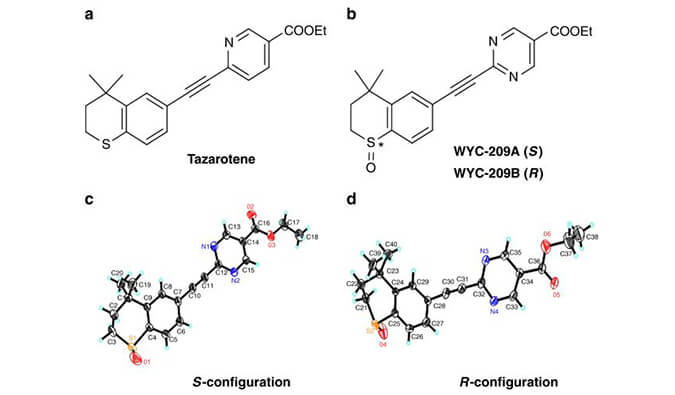 WYC-209可抑制恶性小鼠黑色素瘤肿瘤再生细胞增殖，本研究中SPR通过不朽情缘mg官网使用Biacore 8K进行