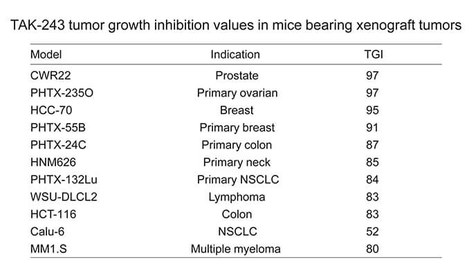 TAK-243是一种有效的泛素激活酶小分子抑制剂，具有体内抗肿瘤功效，通过不朽情缘mg官网使用HCC70模型进行