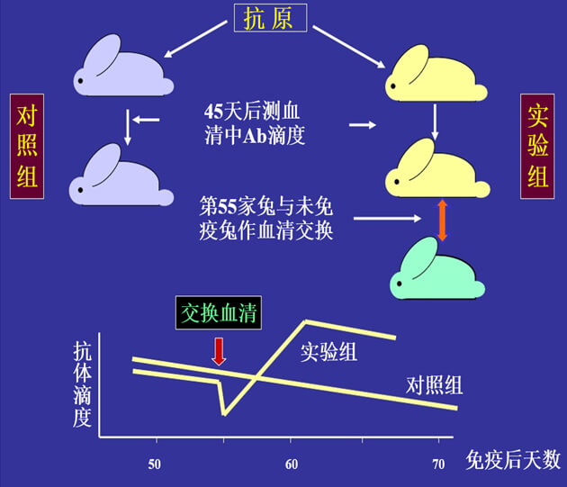 Figure-1：机体对抗体浓度变化的感知与反馈性自我调节.jpg