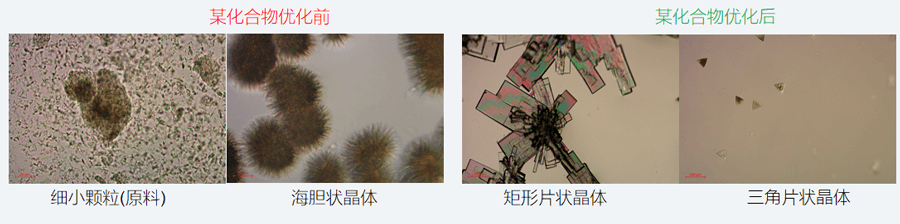 05案例分享-单晶培养，改变晶习.png