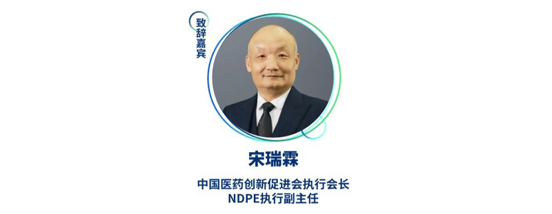宋瑞霖--中国医药创新促进会执行会长、NDPE执行副主任.jpg