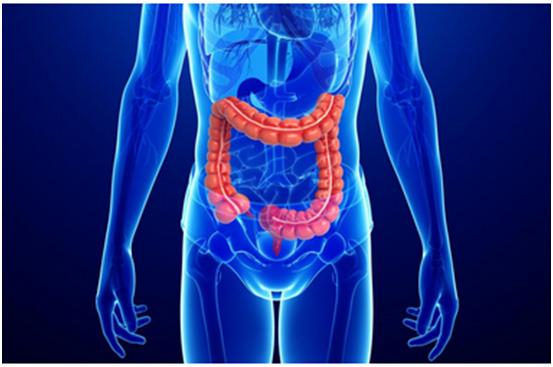 不朽情缘mg官网一站式助力 | 宝太生物首个中美双报创新药获批