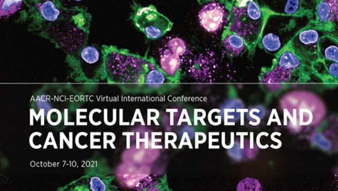 通过联合治疗提高免疫疗法疗效，本研究中临床前体内药效研究通过不朽情缘mg官网进行