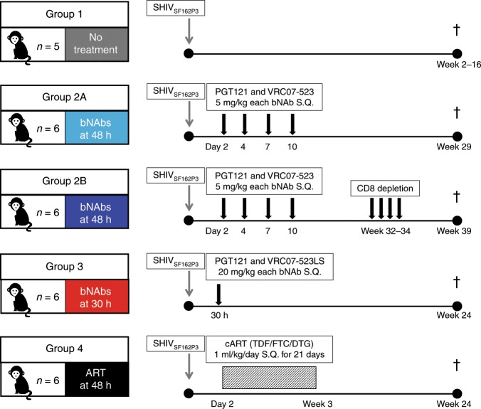 抗逆转录病毒疗法(ART)预防围产期HIV感染，本研究中多替拉韦钠盐和游离态均由不朽情缘mg官网提供