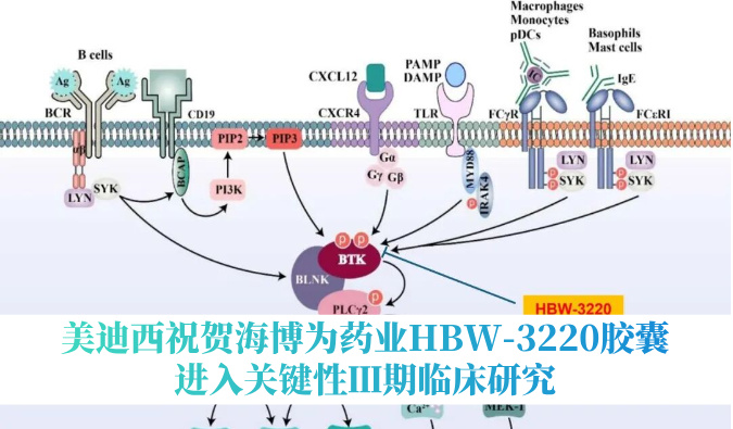 破解耐药性难题，不朽情缘mg官网：睾２┪┮礖BW-3220胶囊进入关键性Ⅲ期临床研究