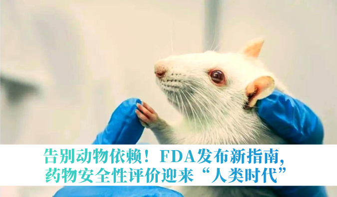 告别动物依赖！FDA发布新指南，药物安全性评价迎来“人类时代”
